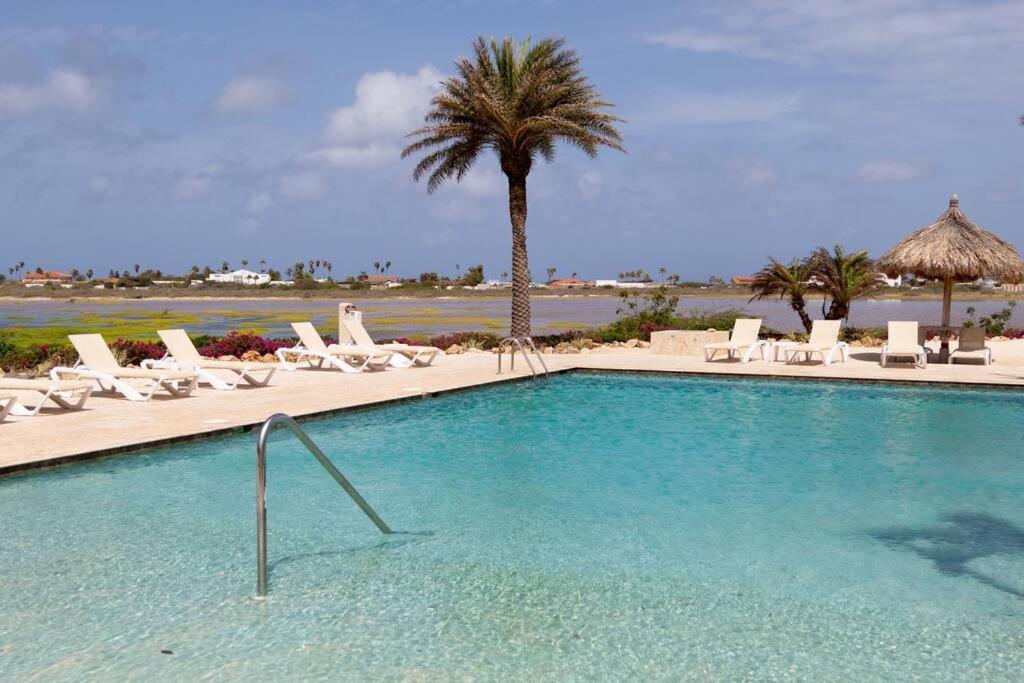 New! Cozy 1 Bedroom Condo- Gold Coast, Noord Aruba 팜비치 외부 사진