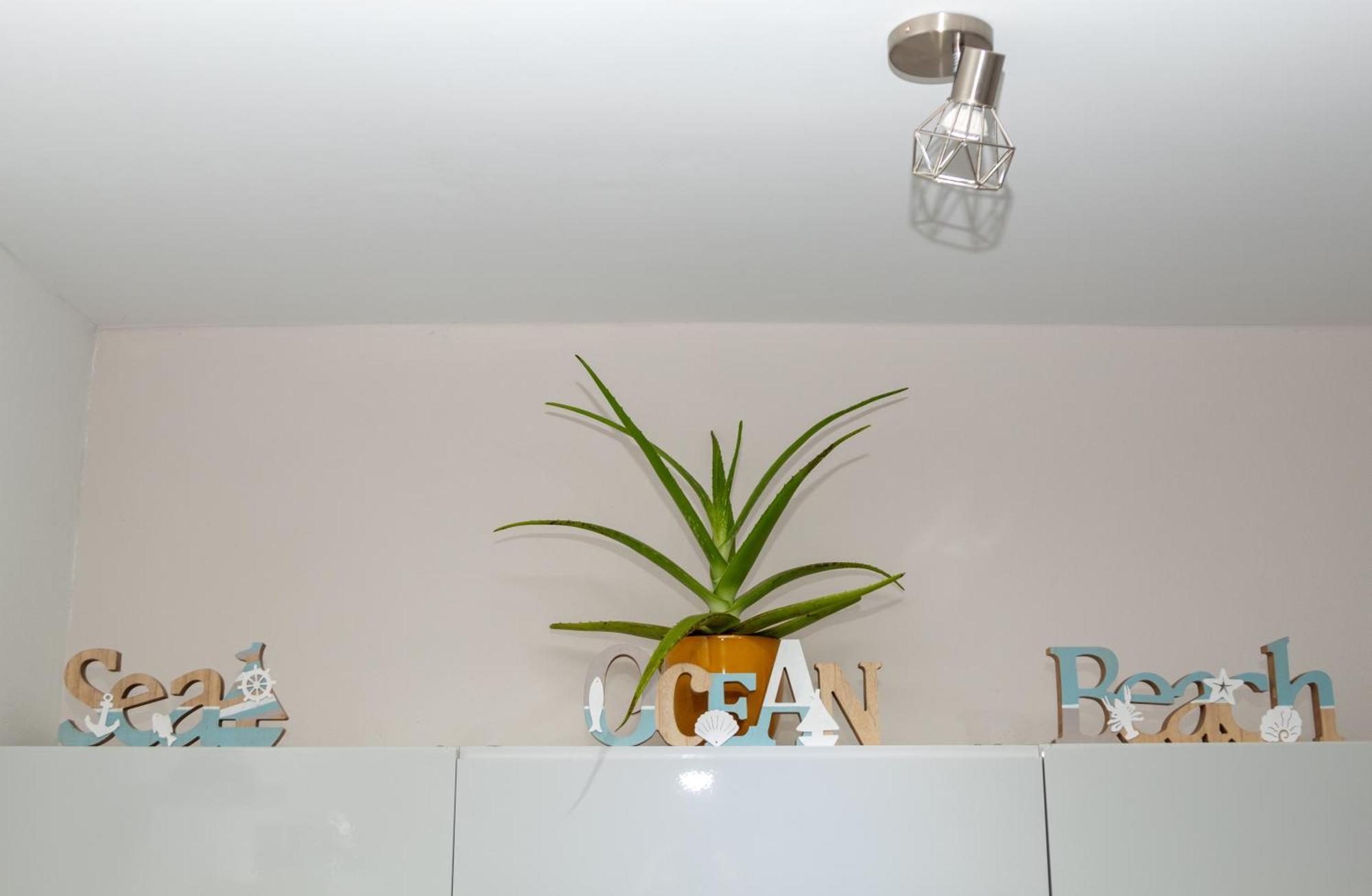 New! Cozy 1 Bedroom Condo- Gold Coast, Noord Aruba 팜비치 외부 사진
